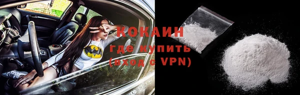 спайс Богданович