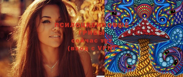 спайс Богданович