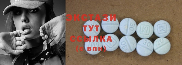 ECSTASY Богородицк