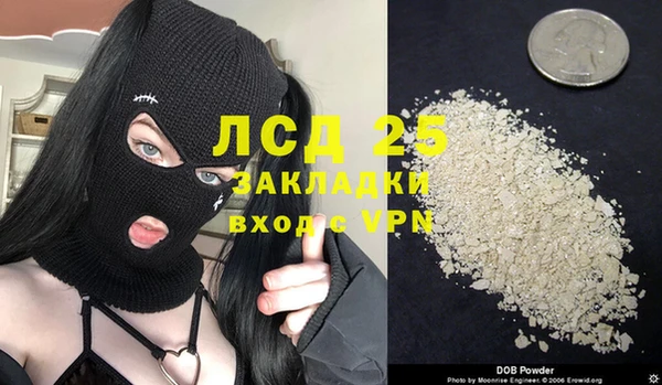 ECSTASY Богородицк