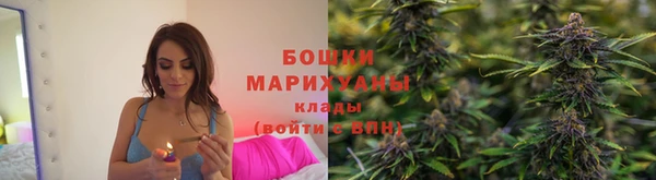 крисы Богородск