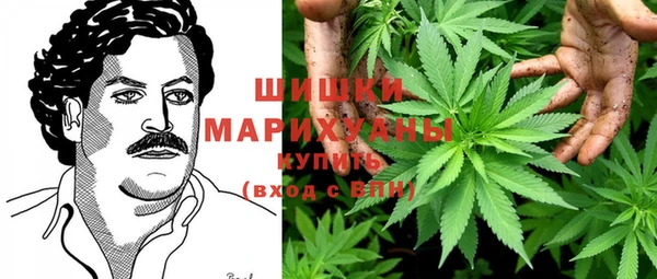 спайс Богданович