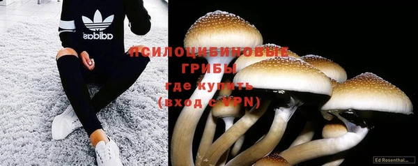 экстази Нестеровская