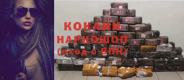 гидра Калининец