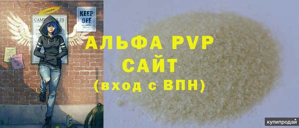 спайс Богданович