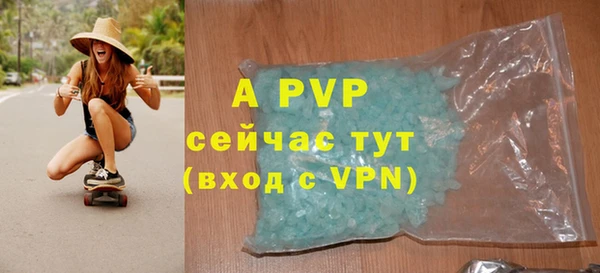 спайс Богданович