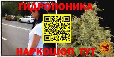 прущие крисы Апрелевка