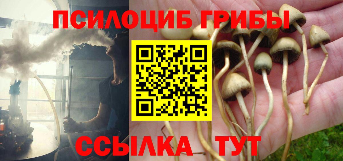 Псилоцибиновые грибы Psilocybine cubensis Бугуруслан